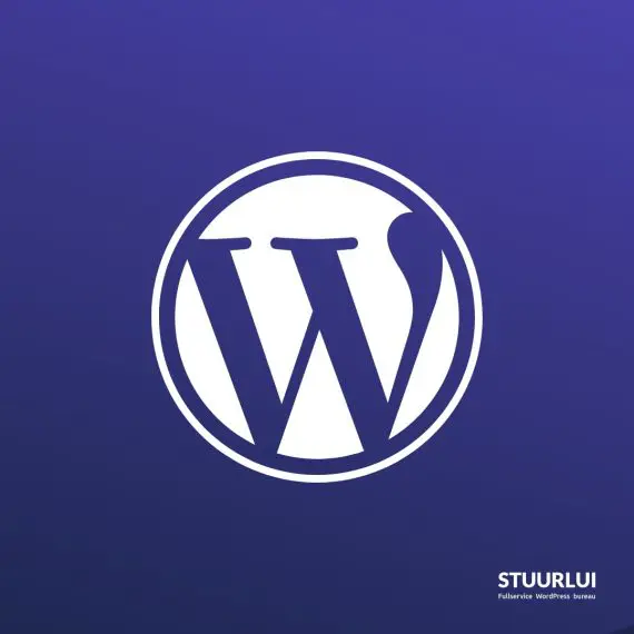 Wat is WordPress? Uitleg van Stuurlui