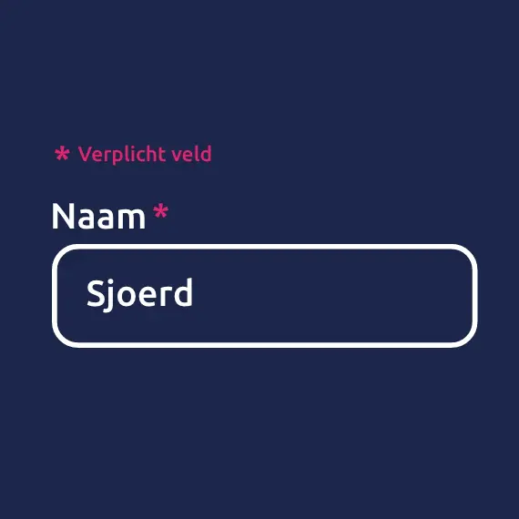 1.3.1 Zorg dat informatie, structuur en relaties in code of tekst zijn vastgelegd - wcag 2.2 webrichtlijnen