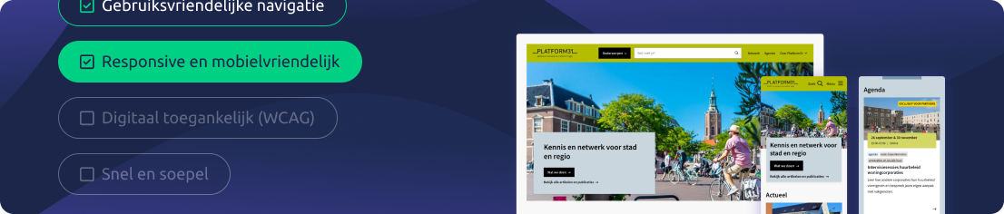 Uitstraling van een responsive website visual