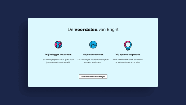 BrightPensioen website case slide 3