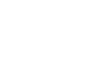 Digitale toegankelijkheid tool W3C