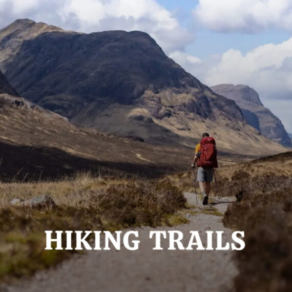 Hiking Trails website case